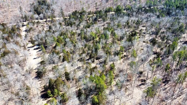 $135,000 | 1 County Road 342, Lesterville, MO 63654