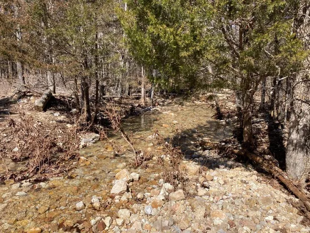 $135,000 | 1 County Road 342, Lesterville, MO 63654