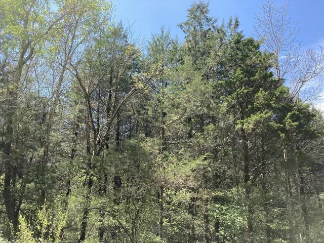 $135,000 | 1 County Road 342, Lesterville, MO 63654