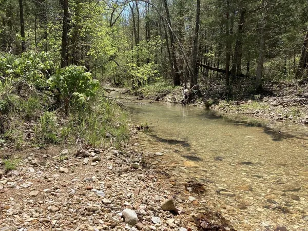 $135,000 | 1 County Road 342, Lesterville, MO 63654