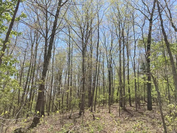 $135,000 | 1 County Road 342, Lesterville, MO 63654