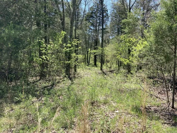 $135,000 | 1 County Road 342, Lesterville, MO 63654