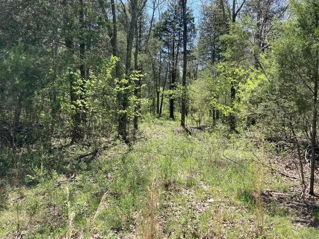 $135,000 | 1 County Road 342, Lesterville, MO 63654