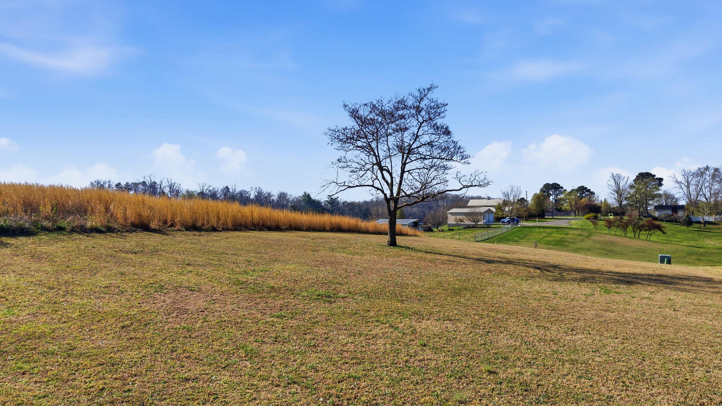 195 Dogwood Lane Spring City, TN 37381 - Photo 15 of 29 195 dogwood ln-15