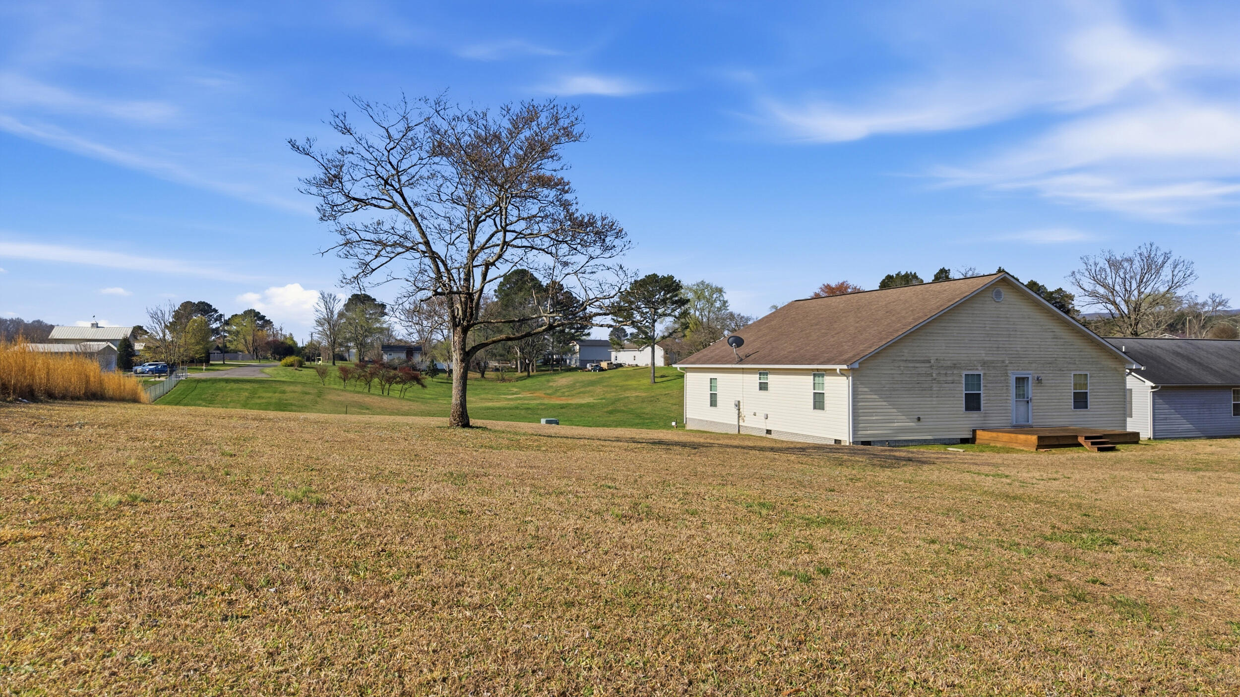 195 Dogwood Lane Spring City, TN 37381 - Photo 17 of 29 195 dogwood ln-17