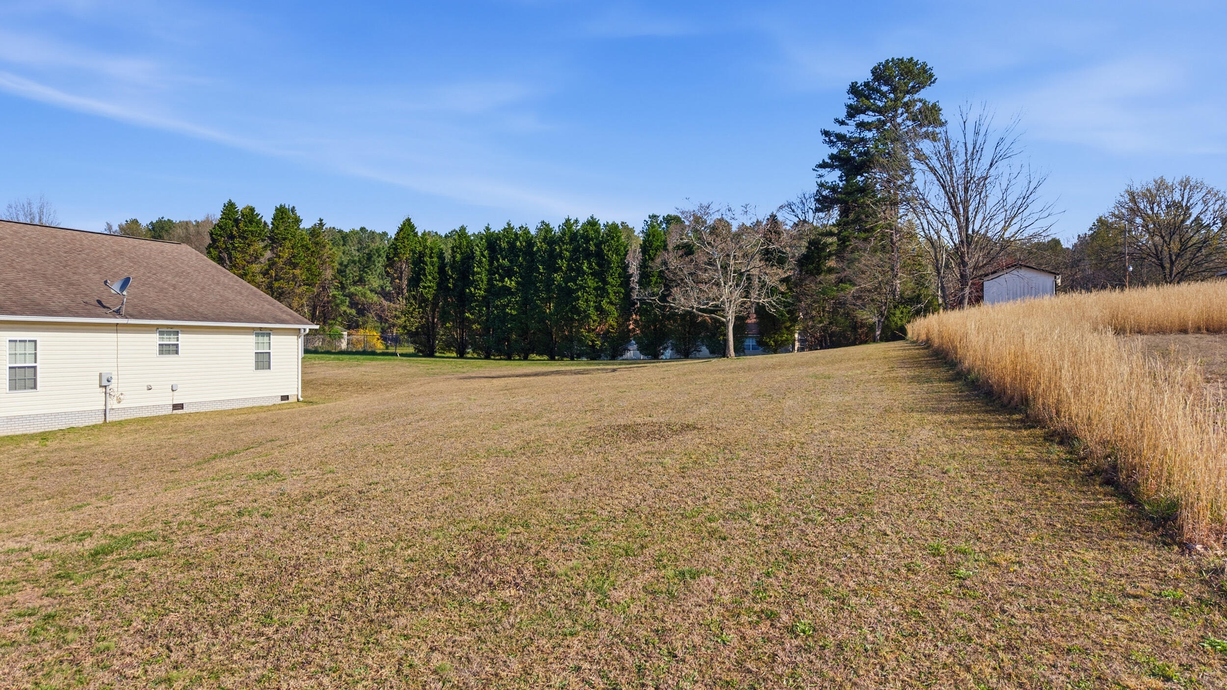 195 Dogwood Lane Spring City, TN 37381 - Photo 19 of 29 195 dogwood ln-19