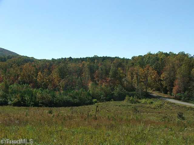 44 Flat Rock Road, Unit 44 Pinnacle, NC 27043 - Photo 14 of 16 Land.