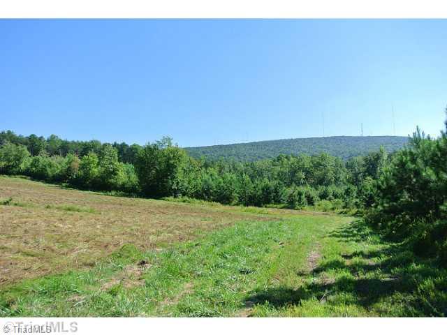 44 Flat Rock Road, Unit 44 Pinnacle, NC 27043 - Photo 3 of 16 Land.
