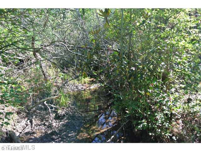 44 Flat Rock Road, Unit 44 Pinnacle, NC 27043 - Photo 8 of 16 Land.