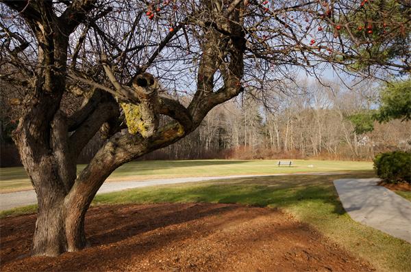 75 Page Road, Unit 5 Bedford, MA 01730 - Photo 10 of 10 Gallery Image 10