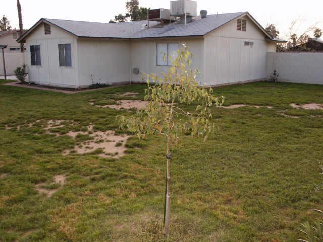 1915 South Roca Mesa, AZ 85204 - Photo 6 of 6 Additional Photo