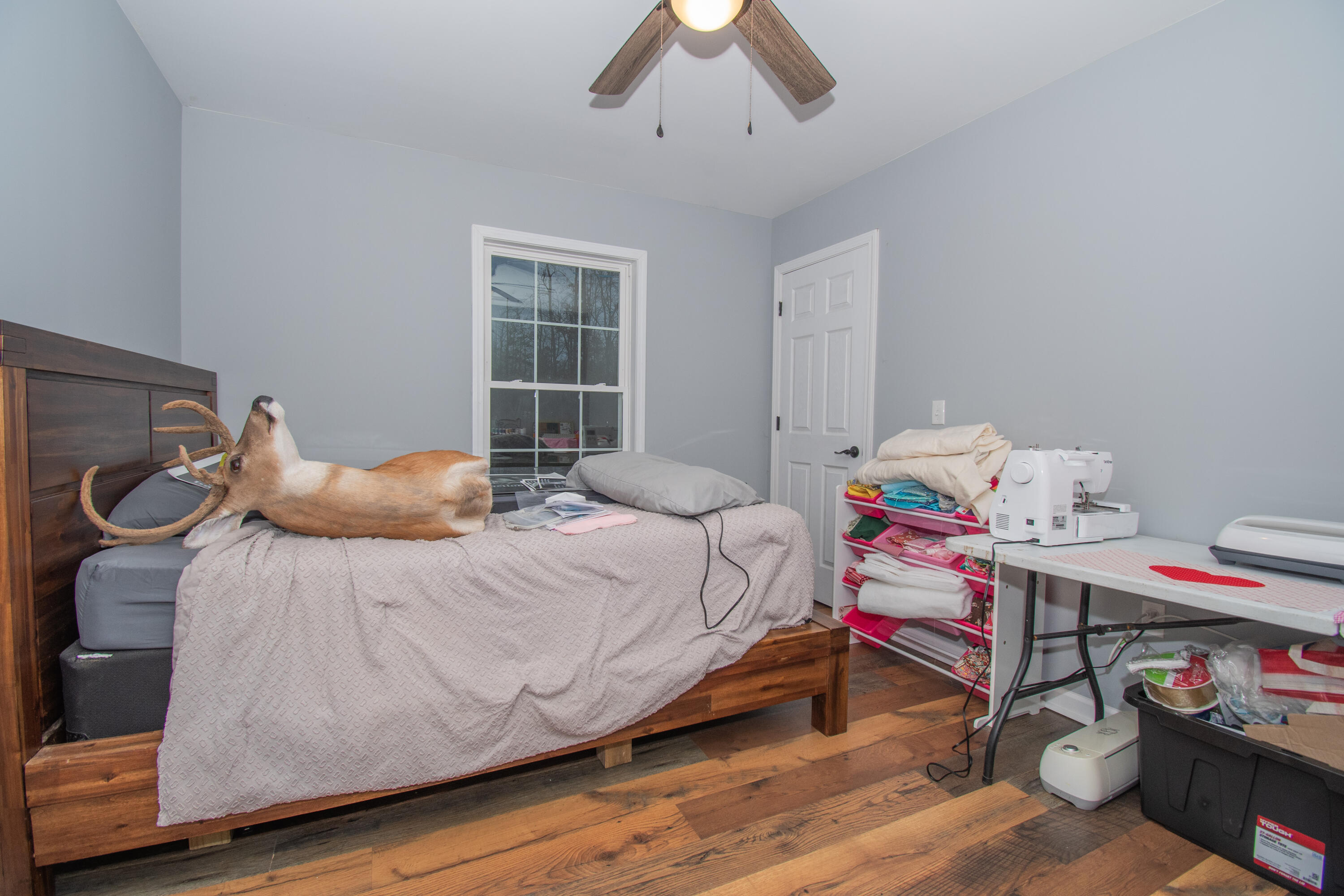 1705 Rice Road Morehead, KY 40351 - Photo 18 of 24 DSC_9145