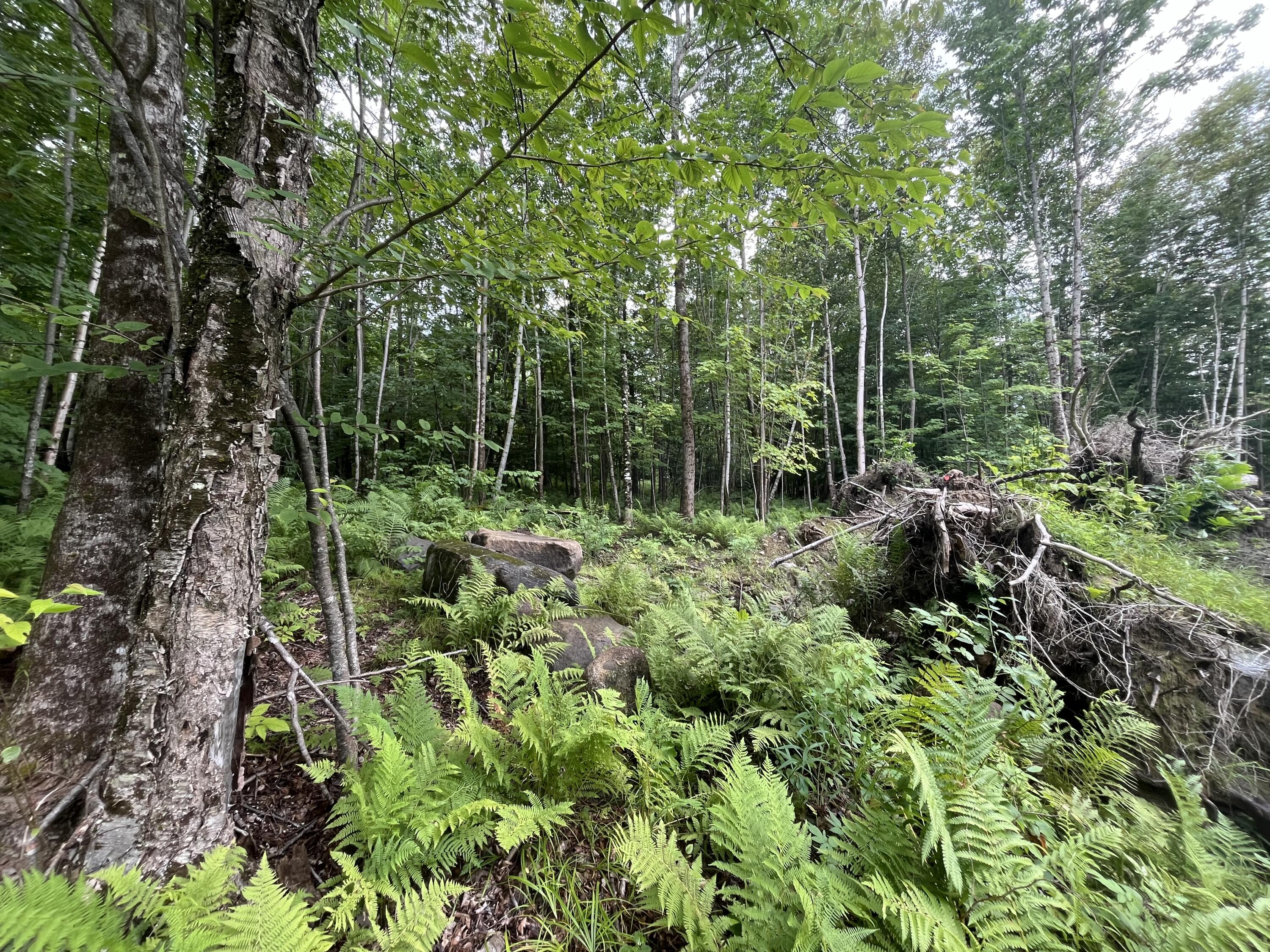 225 Music Road Farmington, ME 04938 - Photo 19 of 26 19