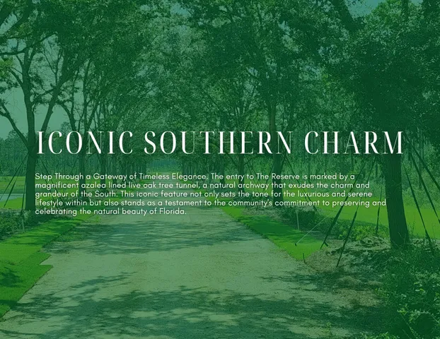 a view of swimming pool with a yard