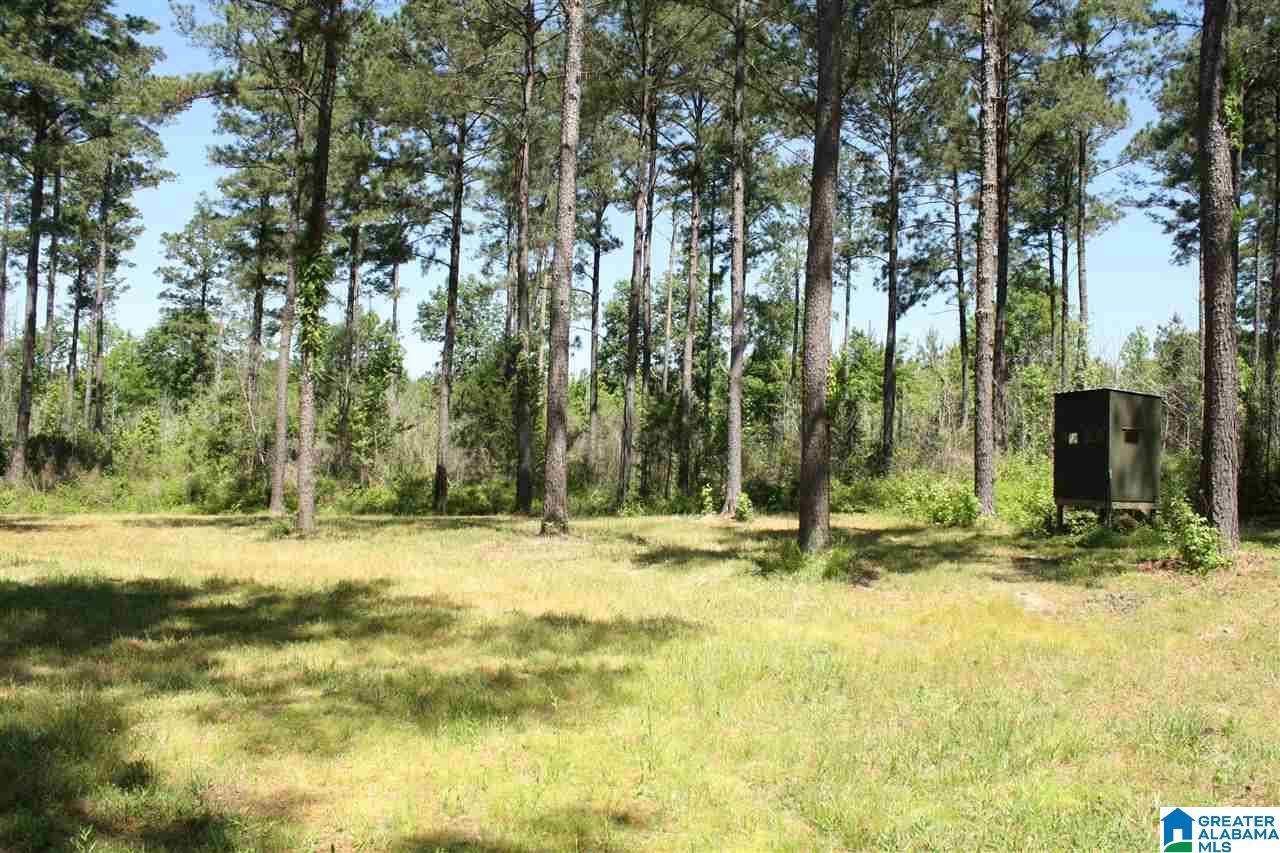 7 County Road, Unit 152 Thomasville, AL 36784 - Photo 11 of 11