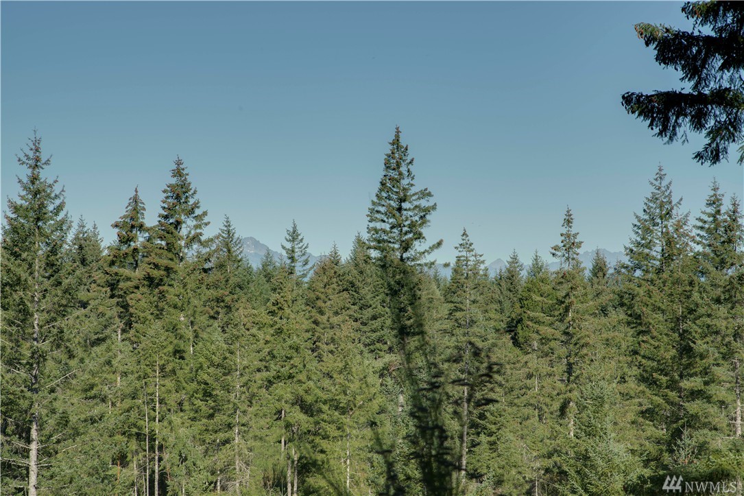 7902 Southwest Ridgeline Drive Port Orchard, WA 98367 - Photo 13 of 19 Gallery Image 13