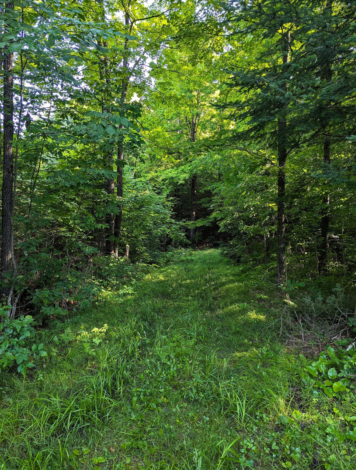 N7032 Carpenter Creek Road Phillips, WI 54555 - Photo 41 of 48 Gallery Image 41