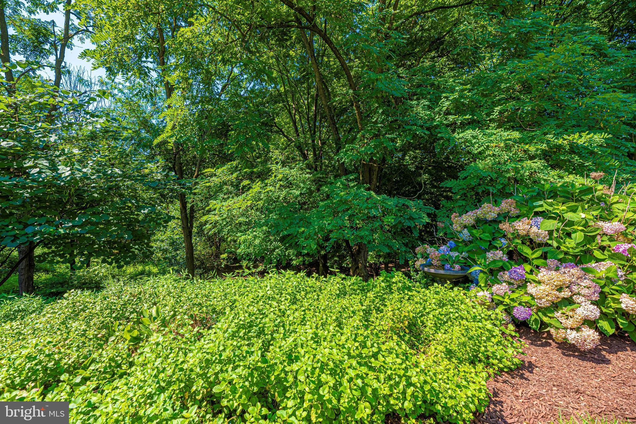 2613 Mill Race Road Frederick, MD 21701 - Photo 32 of 37 Gallery Image 32