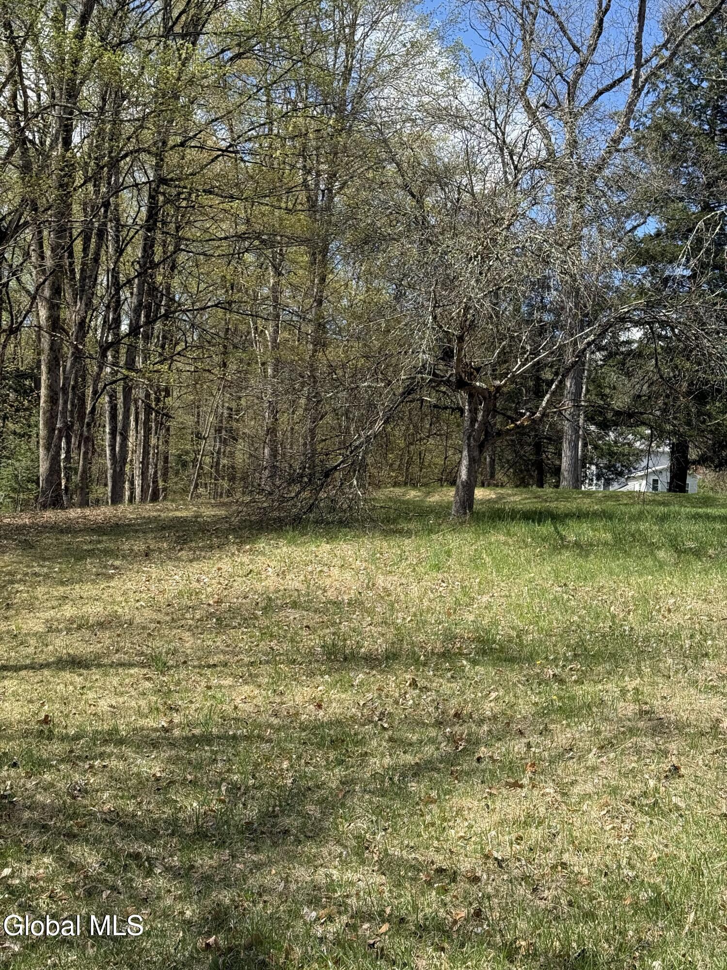 34 N Road Dresden, NY 12819 - Photo 13 of 17 IMG_7090