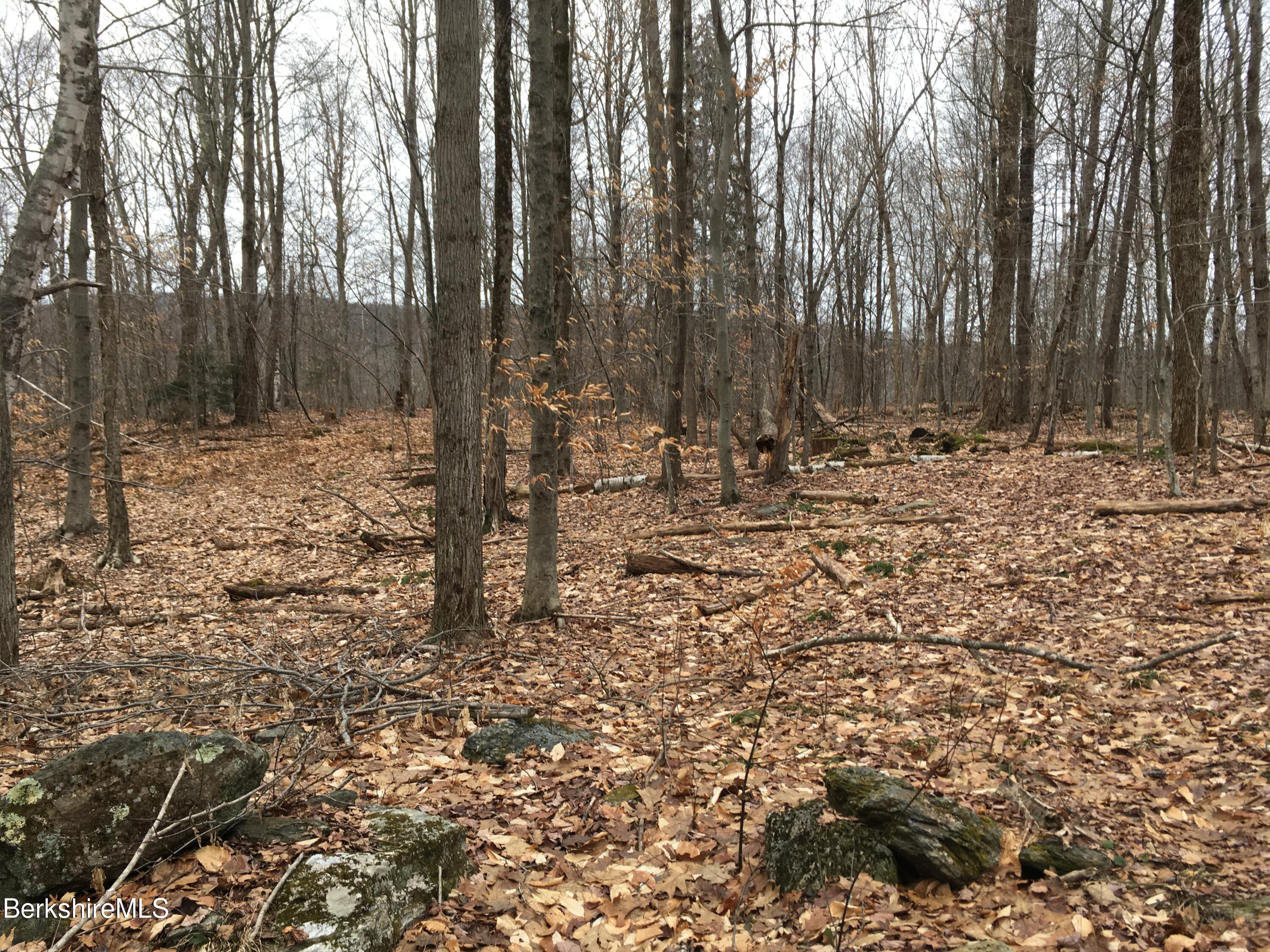 0 Rosenberg Road Lanesborough, MA 01237 - Photo 1 of 2 Rosenberg Road
