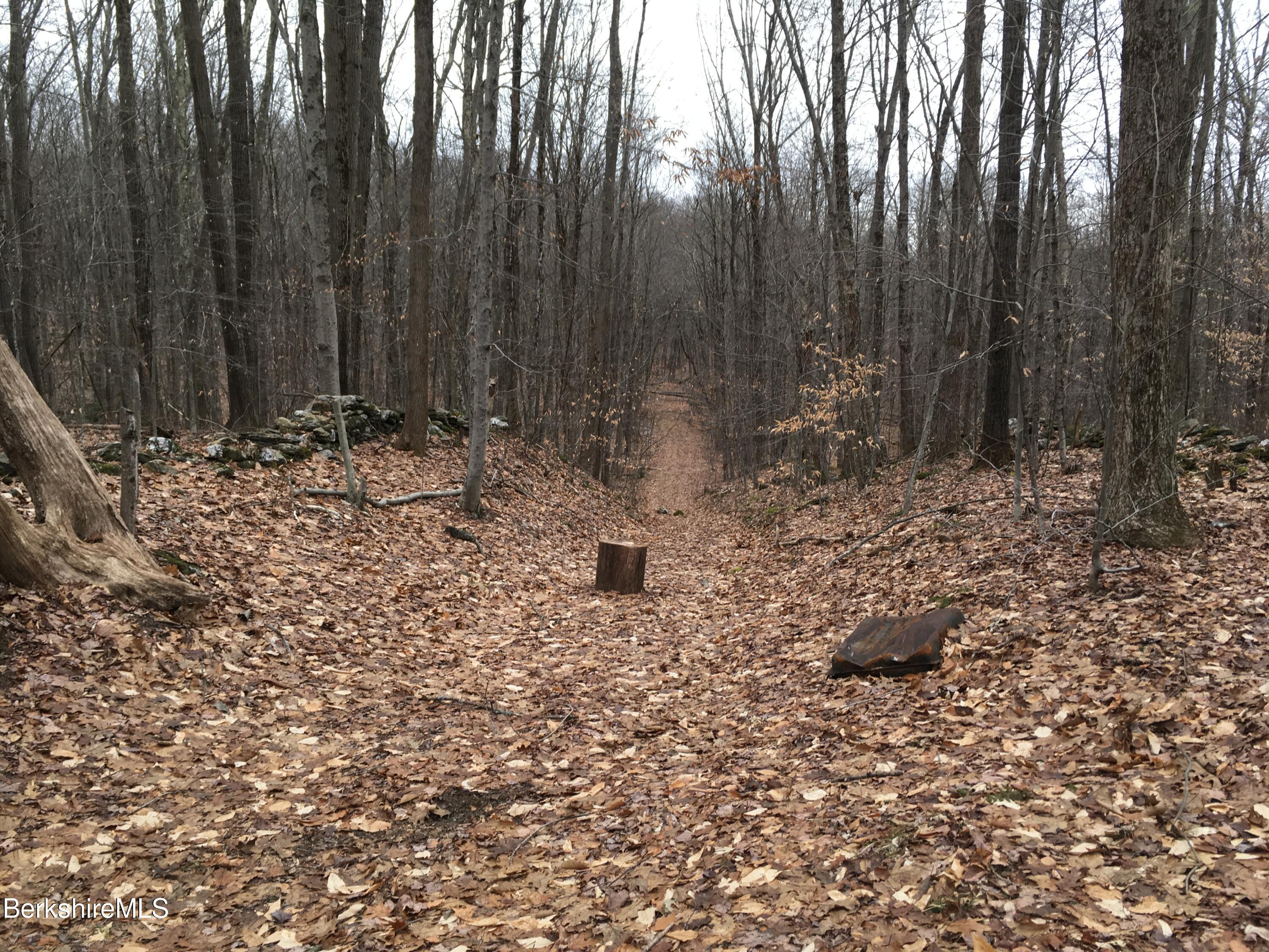 0 Rosenberg Road Lanesborough, MA 01237 - Photo 2 of 2 Rosenberg Road