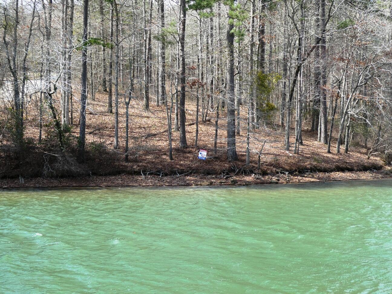 123 County Road Cullman, AL 35055 - Photo 8 of 19 P1010932