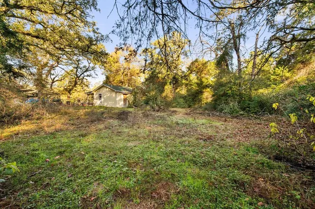 a view of a yard with plants and trees