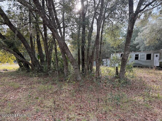 102 Lake Street Interlachen, FL 32148 - Photo 5 of 5 a view of a yard with lots of trees