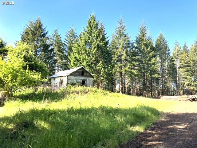 a view of backyard with green space