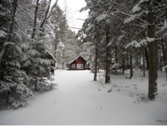 2667 N Road Maidstone, VT 05905 - Photo 22 of 30