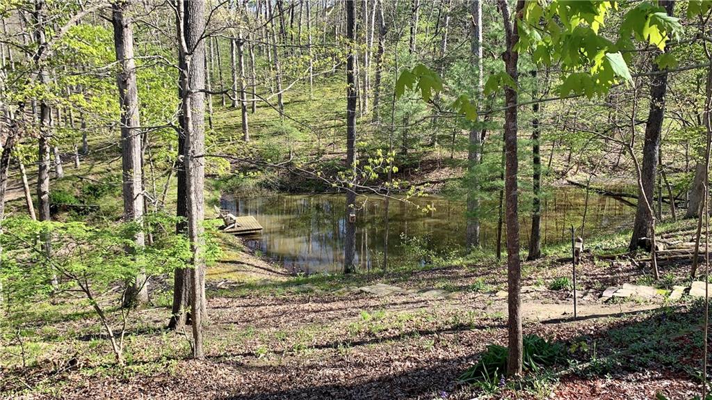 986 Creamer Road Nashville, IN 47448 - Photo 5 of 18