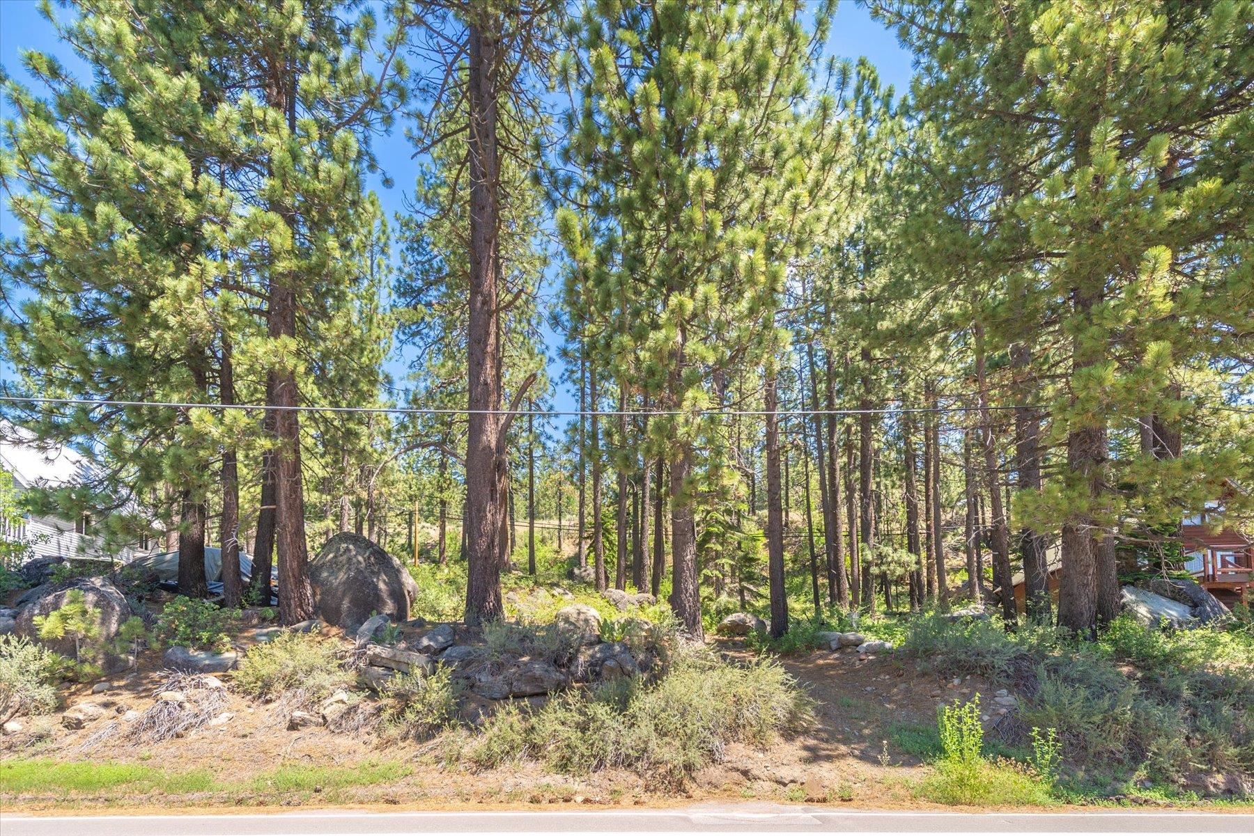 13020 Donner Pass Road Truckee, CA 96161 - Photo 3 of 18