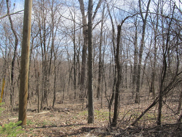 127 Turkey Run Road Trout Valley, IL 60013 - Photo 4 of 7