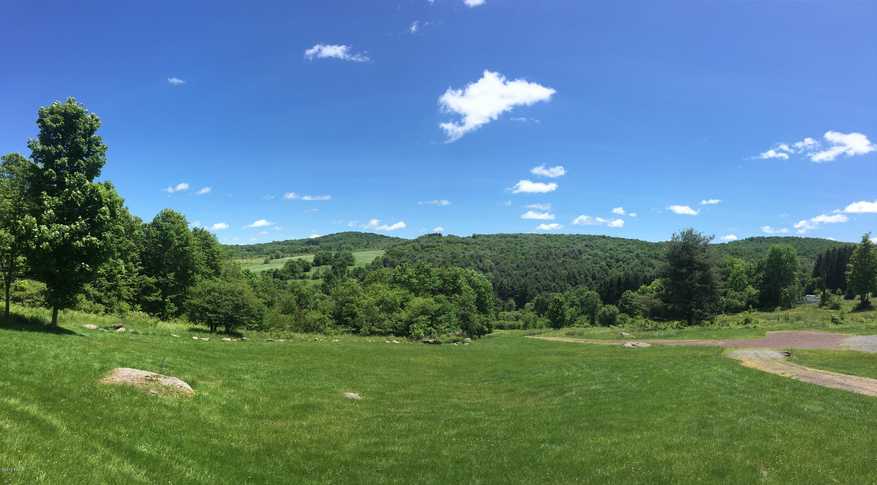 1199 Pine Mill Road Equinunk, PA 18417 - Photo 7 of 27