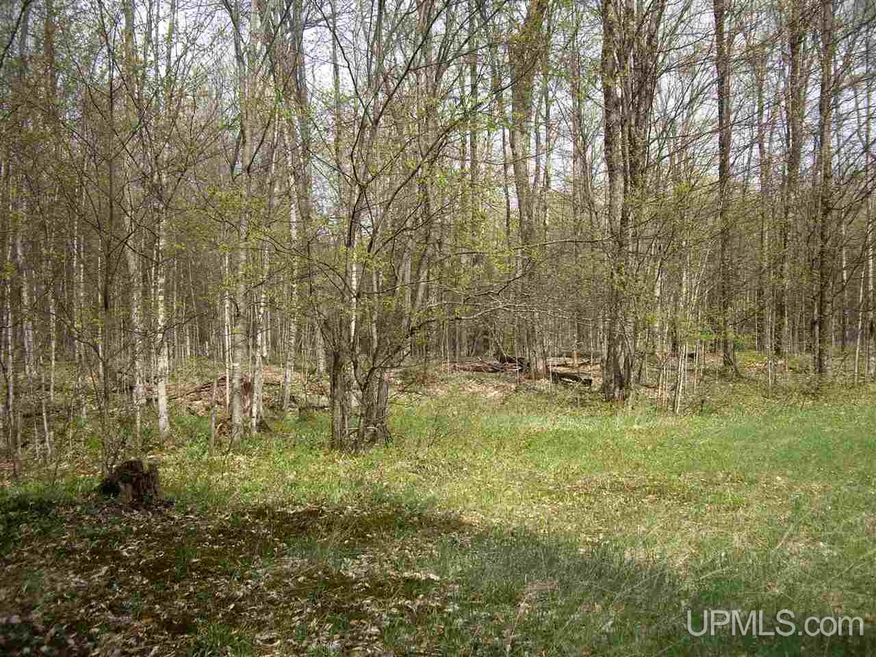 8962 East County 440 Road Wetmore, MI 49895 - Photo 25 of 26 Gallery Image 25