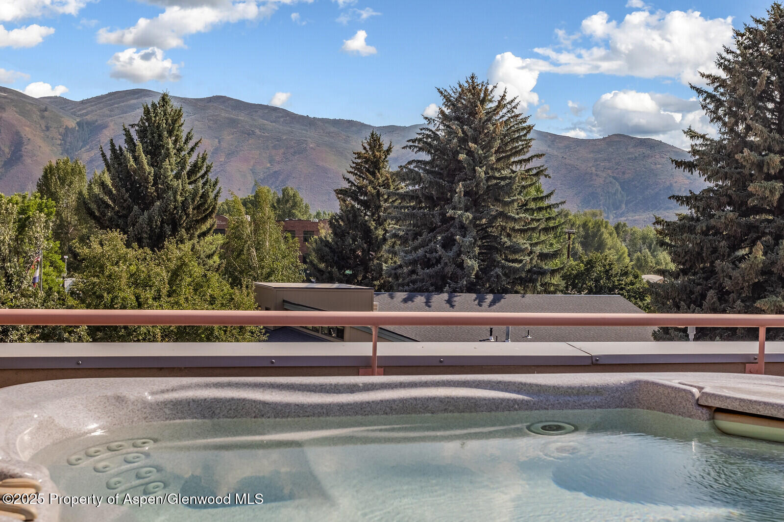 104 Midland Avenue, Unit 302 Basalt, CO 81621 - Photo 12 of 31 Hot Tub