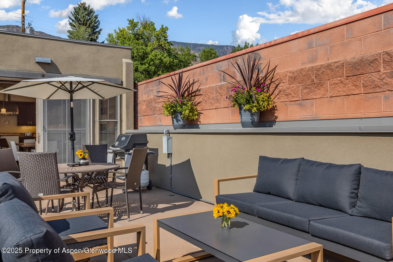 104 Midland Avenue, Unit 302 Basalt, CO 81621 - Photo 13 of 31 Deck