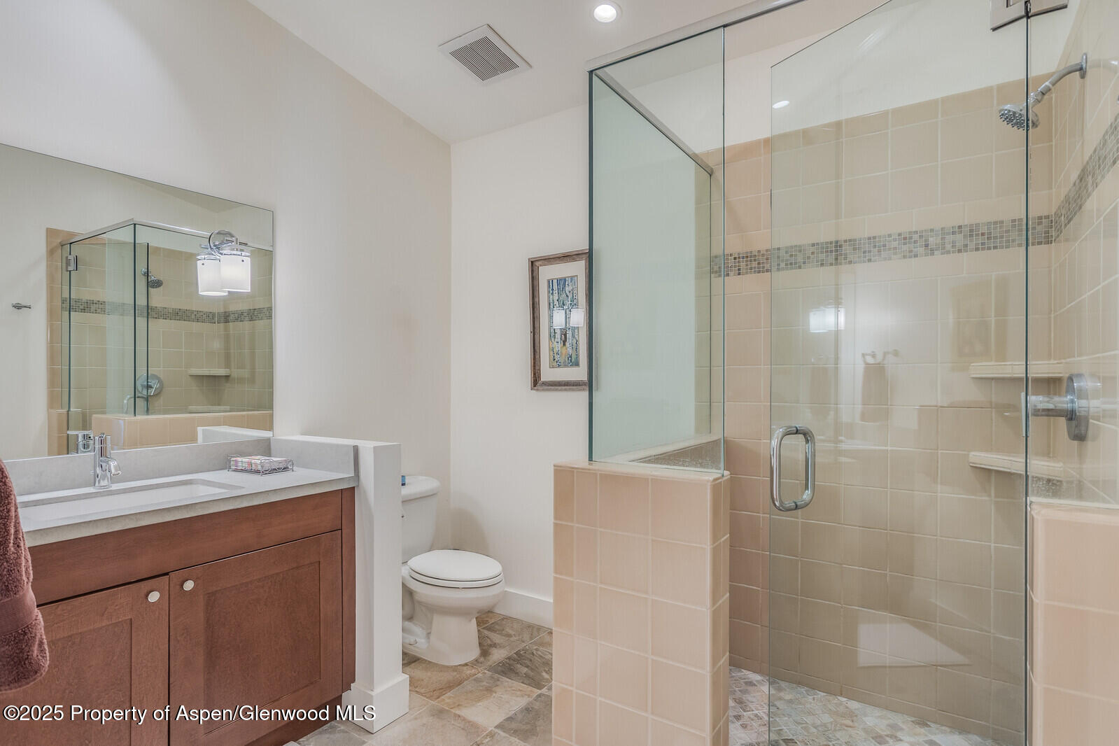 104 Midland Avenue, Unit 302 Basalt, CO 81621 - Photo 26 of 31 Guest Bathroom