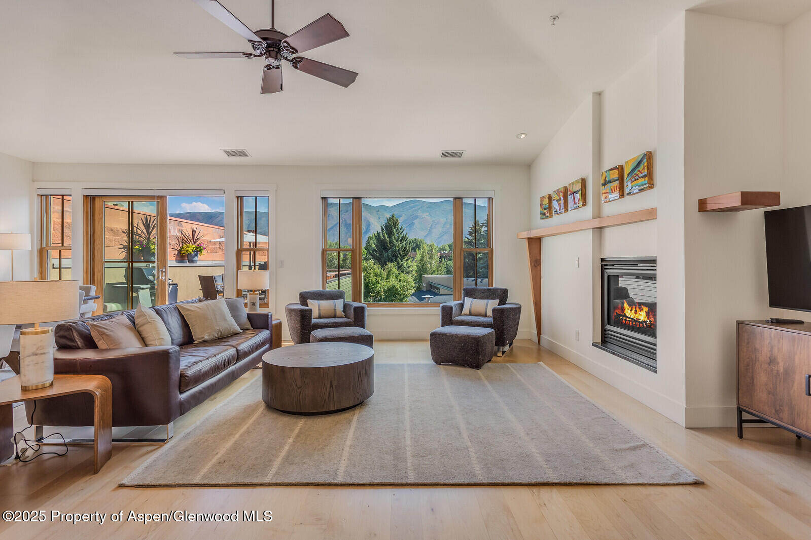 104 Midland Avenue, Unit 302 Basalt, CO 81621 - Photo 3 of 31 Living View