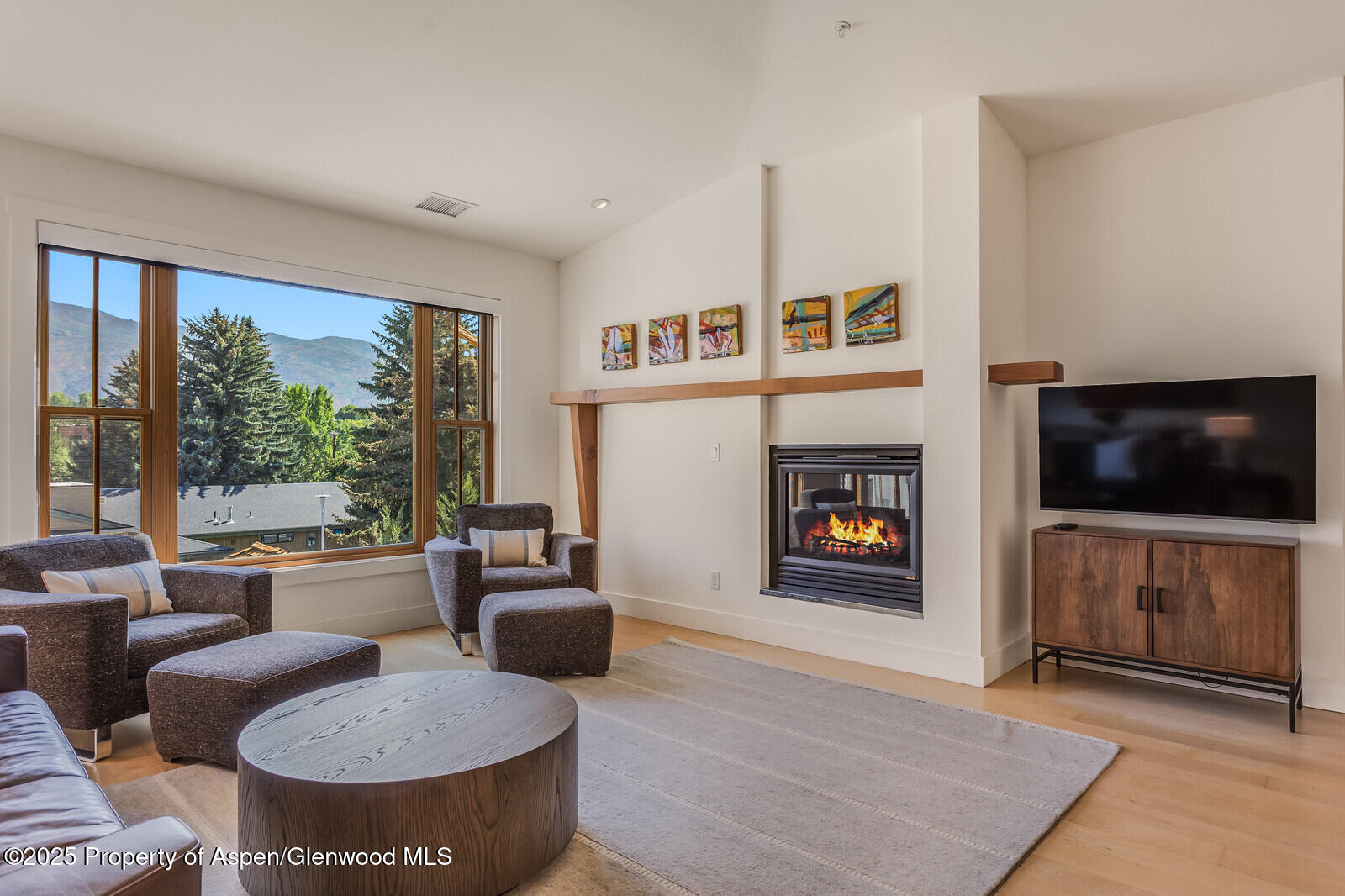 104 Midland Avenue, Unit 302 Basalt, CO 81621 - Photo 5 of 31 Living FP