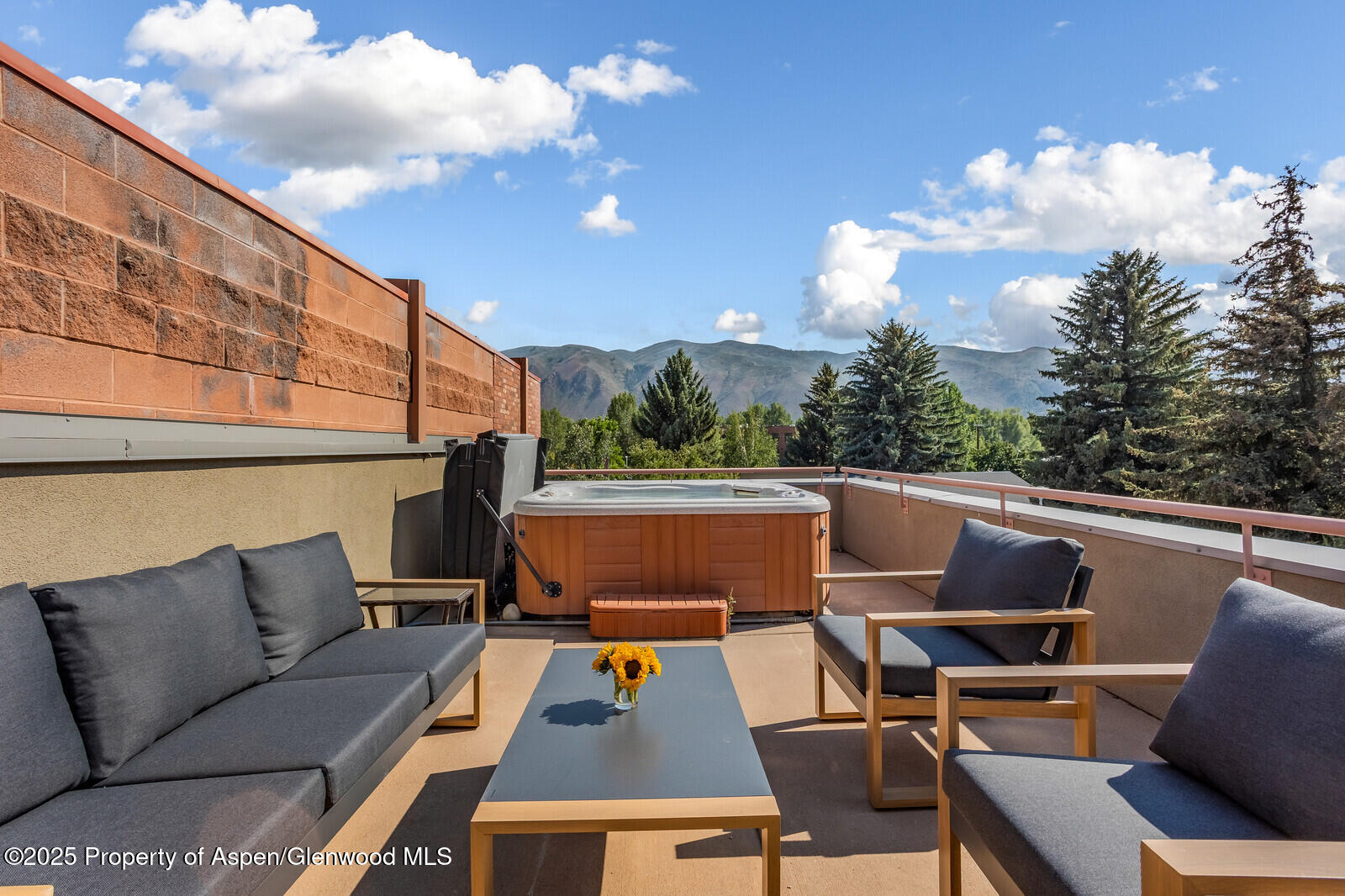 104 Midland Avenue, Unit 302 Basalt, CO 81621 - Photo 8 of 31 Private Deck