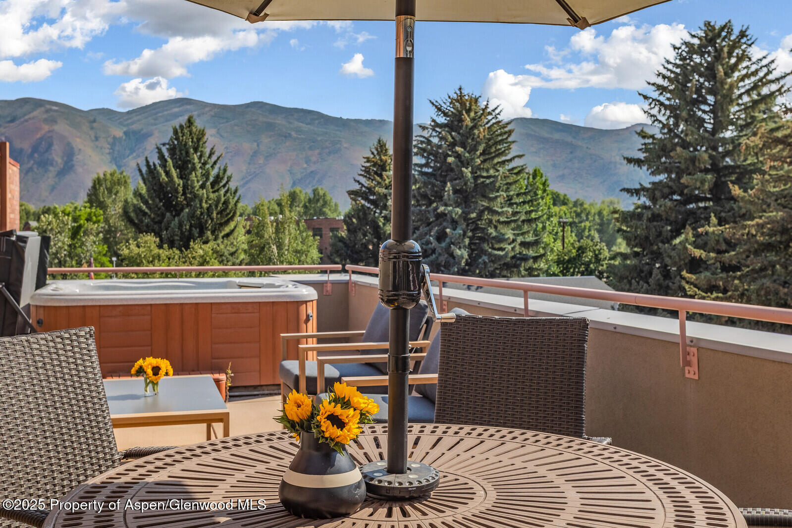 104 Midland Avenue, Unit 302 Basalt, CO 81621 - Photo 9 of 31 Views