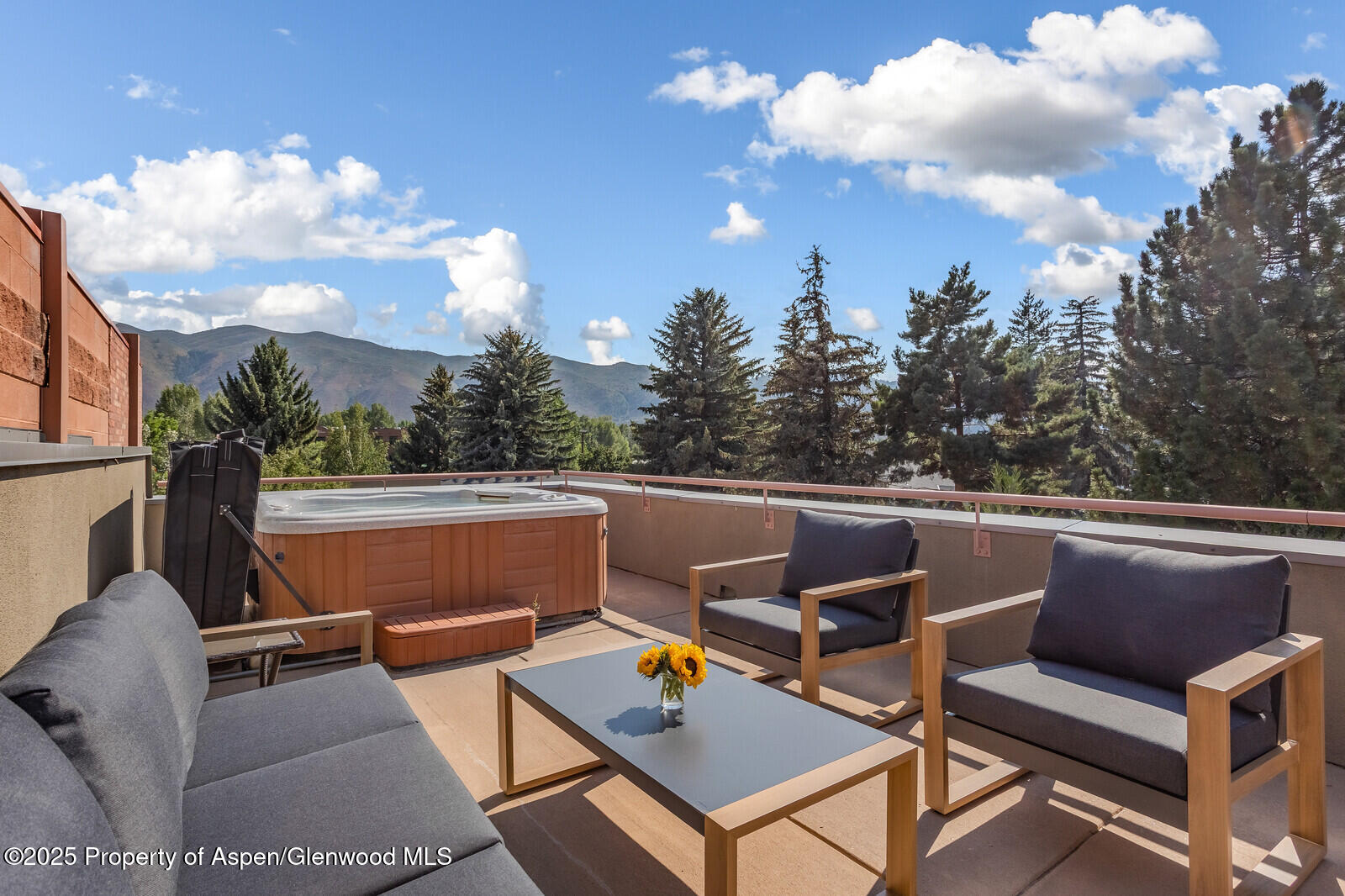 104 Midland Avenue, Unit 302 Basalt, CO 81621 - Photo 10 of 31 Deck Seating+Hot Tub