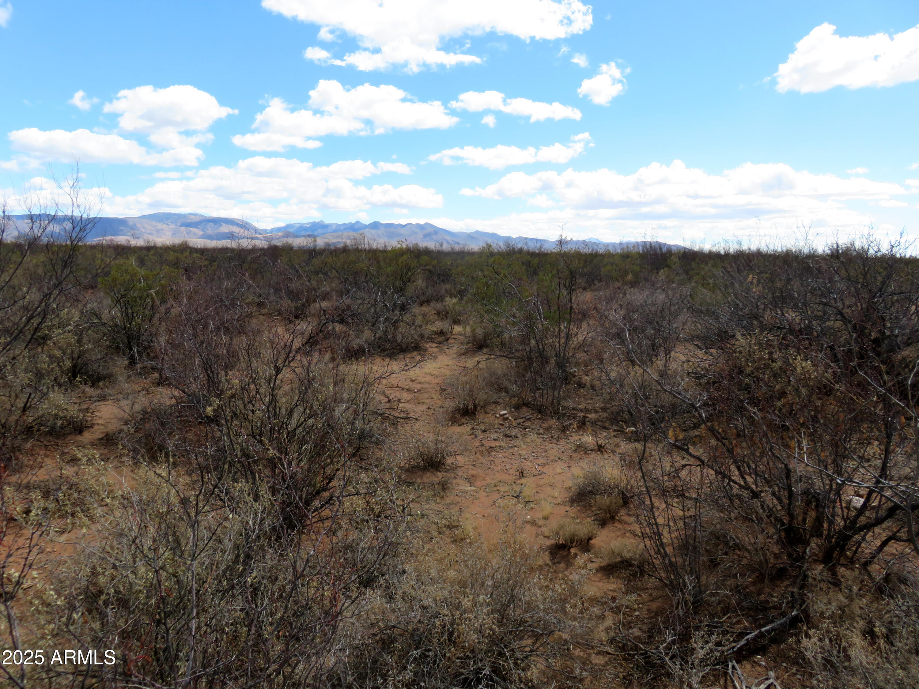 Tbd East Stonebraker Road Tombstone, AZ 85638 - Photo 4 of 14 Stonebracker 2