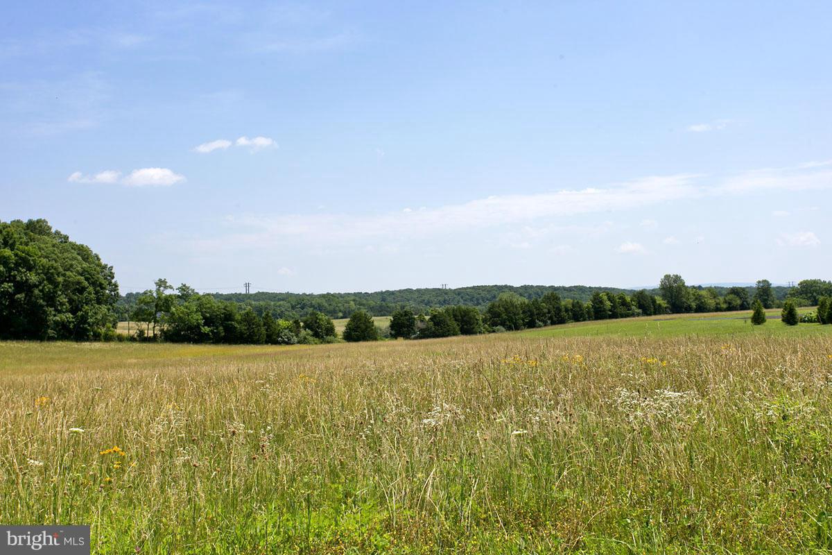 28 Riley Mill Lane Middletown, VA 22645 - Photo 5 of 14 Fantastic Views