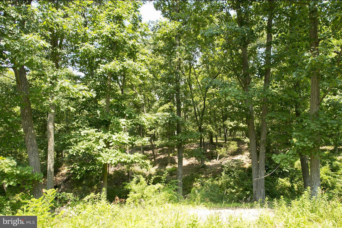 28 Riley Mill Lane Middletown, VA 22645 - Photo 7 of 14 Wooded for addition privacy