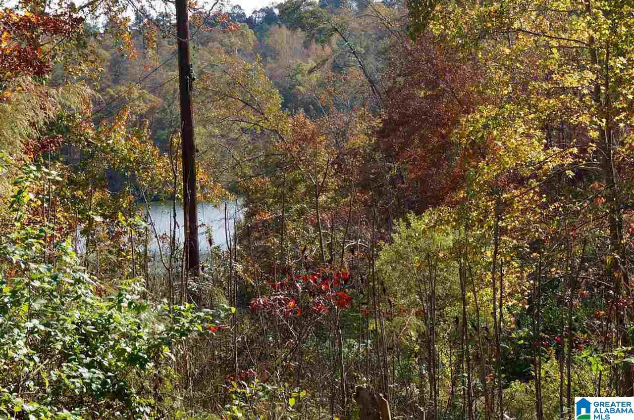 95 Little Cove Road Warrior, AL 35180 - Photo 12 of 48