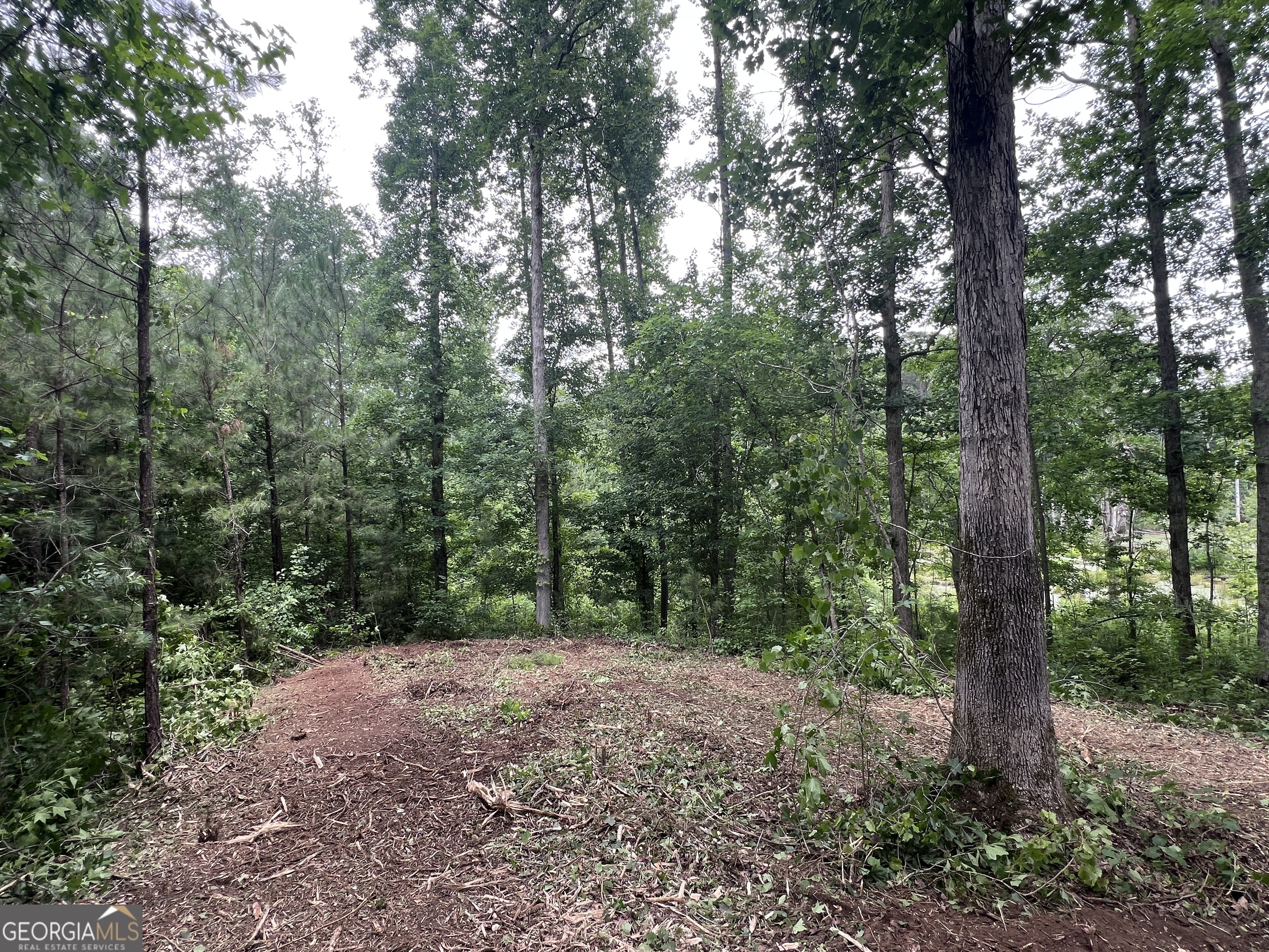 0 Bethlehem Church Road Grantville, GA 30220 - Photo 20 of 22