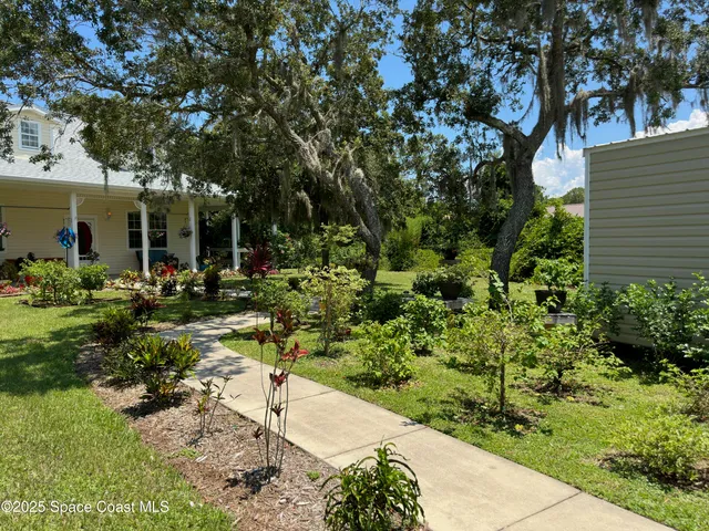 a view of backyard of the house