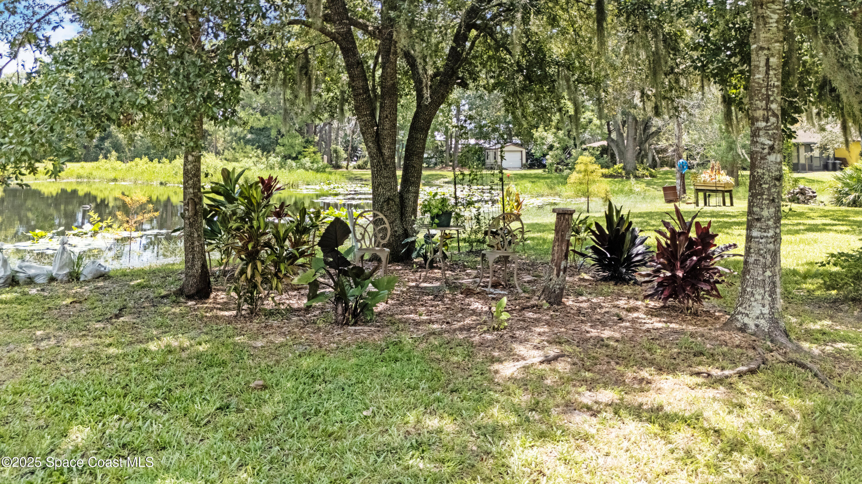 3931 U.S. Rte 1 Mims, FL 32754 - Photo 12 of 47 a view of a yard with large trees